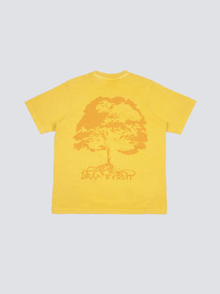 Roots T-Shirt - Washed Dried Orange